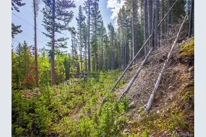 00 Valley View Drive, Idaho Springs, CO 80452 - Photo 13