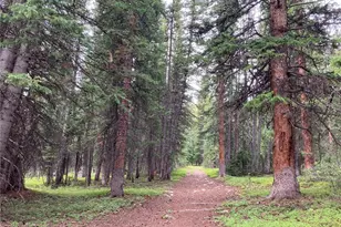 297 Robertson Ln, Breckenridge, CO 80424 - Photo 31