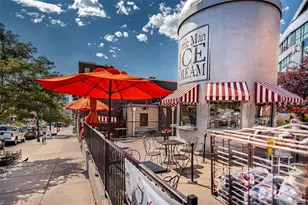 3659 Alcott St, Denver, CO 80211 - Photo 49