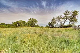 13111 W 74th Dr, Arvada, CO 80005 - Photo 5