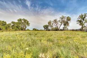 13111 W 74th Dr, Arvada, CO 80005 - Photo 17