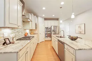 3973 John Ct, Castle Rock, CO 80104 - Photo 9