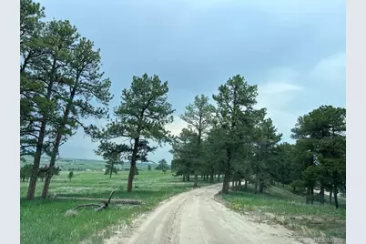 4560 County Road 114, Elizabeth, CO 80107 - Photo 3