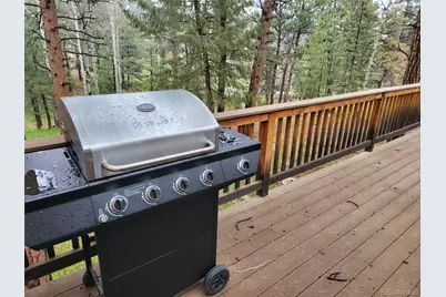704 Yellow Pine Drive, Bailey, CO 80421 - Photo 21