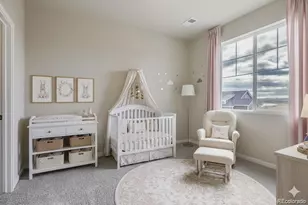 5572 Stone Hbr Dr, Elizabeth, CO 80107 - Photo 19