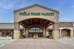 9910 Ashleigh Way, Highlands Ranch, CO 80126 - Photo 45