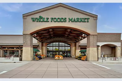 9910 Ashleigh Way, Highlands Ranch, CO 80126 - Photo 49