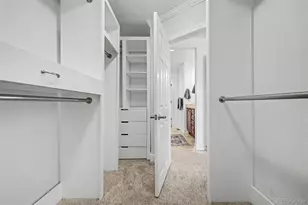 3164 Geneva Ct, Denver, CO 80238 - Photo 35