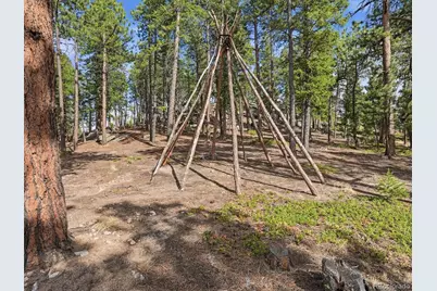 7260 S Frog Hollow Lane, Evergreen, CO 80439 - Photo 43