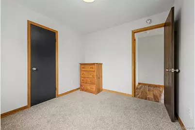 821 Ferret Lane, Fraser, CO 80442 - Photo 25