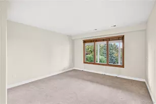 1247 Jesse Ct, Highlands Ranch, CO 80126 - Photo 39