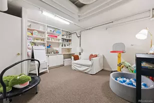 379 N Marion St, Denver, CO 80218 - Photo 33