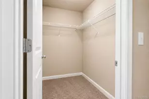5175 Clarence Dr, Windsor, CO 80550 - Photo 29