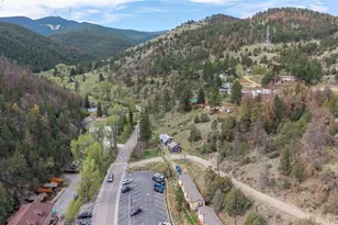 401 Soda Creek Rd, Idaho Springs, CO 80452 - Photo 23