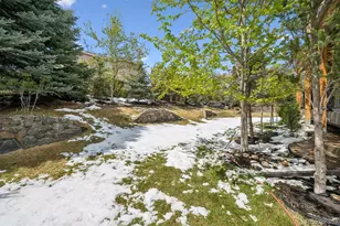 10137 Charissglen Ln, Highlands Ranch, CO 80126 - Photo 41
