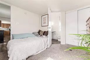 17190 Mt Vernon Rd, Golden, CO 80401 - Photo 19