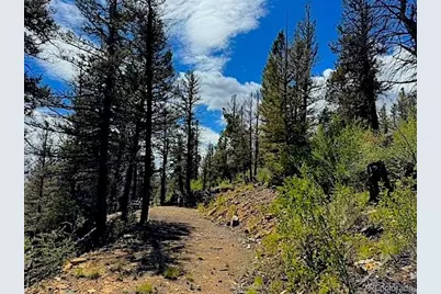 2022 Middle Fork Vista, Fairplay, CO 80440 - Photo 3