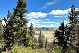 2022 Middle Fork Vista, Fairplay, CO 80440 - Photo 1