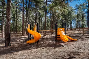 36424 Forest Trail, Elizabeth, CO 80107 - Photo 39