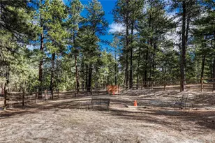 36424 Forest Trail, Elizabeth, CO 80107 - Photo 43