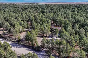 36424 Forest Trail, Elizabeth, CO 80107 - Photo 49