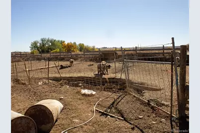 162 Farm Museum Lane, Loveland, CO 80537 - Photo 23