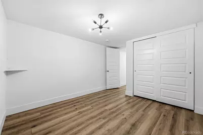 3710 N Race Street, Denver, CO 80205 - Photo 29