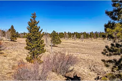 2226 Pitchfork Road, Hartsel, CO 80449 - Photo 11