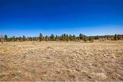 2226 Pitchfork Road, Hartsel, CO 80449 - Photo 19