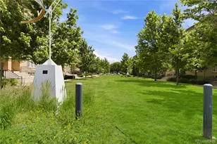 220 Roslyn St, Denver, CO 80230 - Photo 33