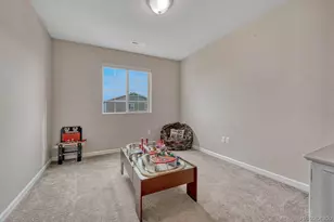 3536 Evening Pl, Castle Rock, CO 80109 - Photo 15