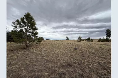 990 Coyotero Trail, Hartsel, CO 80449 - Photo 3