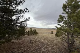 990 Coyotero Trail, Hartsel, CO 80449 - Photo 1