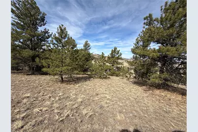 990 Coyotero Trail, Hartsel, CO 80449 - Photo 5