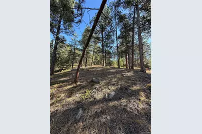 7438 S Turkey Creek Road, Morrison, CO 80465 - Photo 9