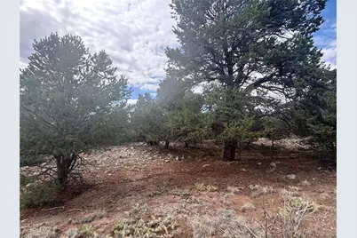 1661 Willow Creek Way, Crestone, CO 81131 - Photo 3