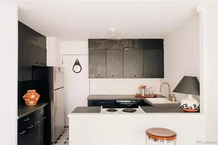 888 N Logan Street, Denver, CO 80203 - Photo 11