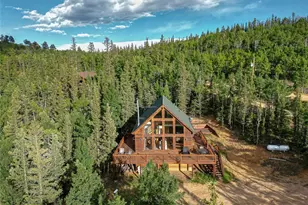 339 Wampum Ln, Como, CO 80432 - Photo 31