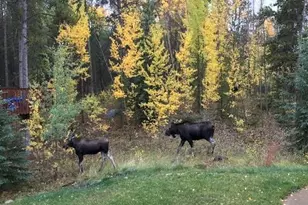 387 Gold King Way, Breckenridge, CO 80424 - Photo 29