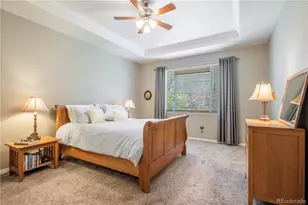 13060 Norway Maple St, Parker, CO 80134 - Photo 19