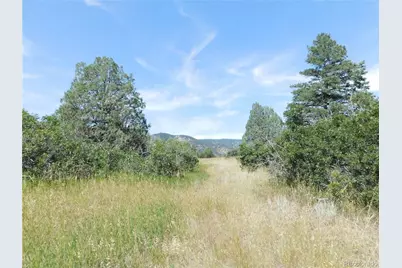 5967 Country Club Drive, Larkspur, CO 80118 - Photo 41