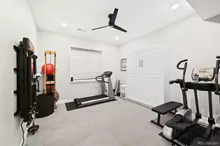 7043 Homeplace St, Castle Rock, CO 80108 - Photo 35