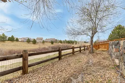 2255 Candleglow Street, Castle Rock, CO 80109 - Photo 31