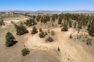 530 Gitche Goone Ln, Como, CO 80432 - Photo 1