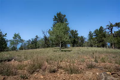 530 Gitche Goone Lane, Como, CO 80432 - Photo 3