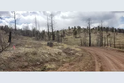 Lot 179 Duffy Lane, Fort Garland, CO 81133 - Photo 3