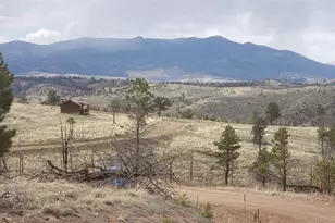 Lot 179 Duffy Ln, Fort Garland, CO 81133 - Photo 1