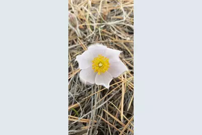 Lot 179 Duffy Lane, Fort Garland, CO 81133 - Photo 11