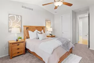 6558 San Miguel Ct, Castle Rock, CO 80108 - Photo 19