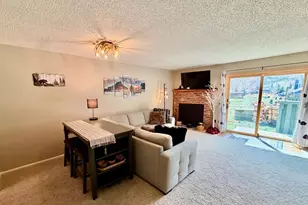 258 Cove Blvd, Dillon, CO 80435 - Photo 5
